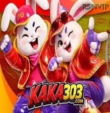 KAKA303 dan rsnvip: Rangkuman Brand yang Banyak Dicari
